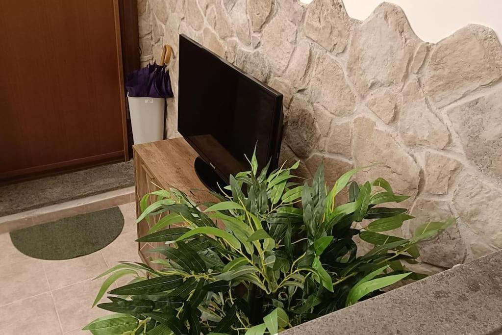 D'Amico Home Experience - Frosinone Centro Exteriér fotografie